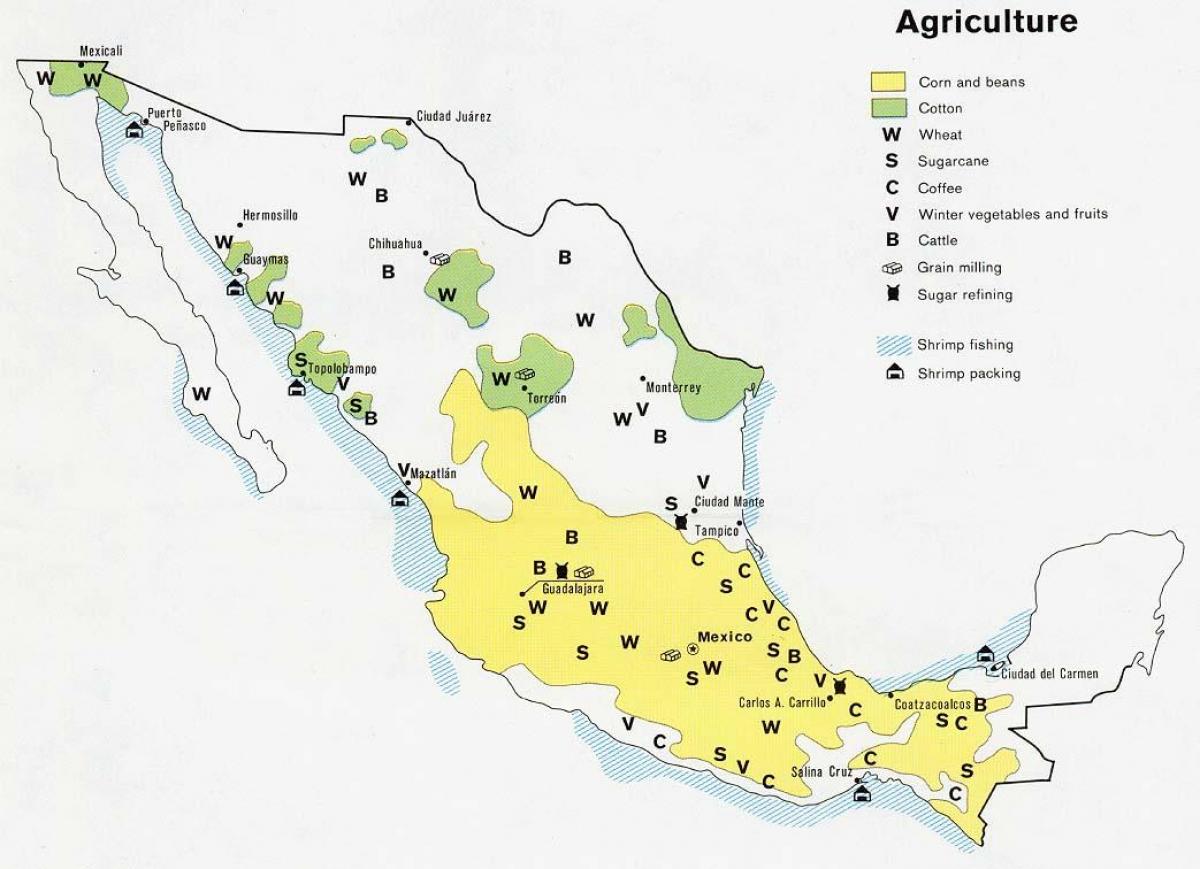 kort over Mexico landbrug