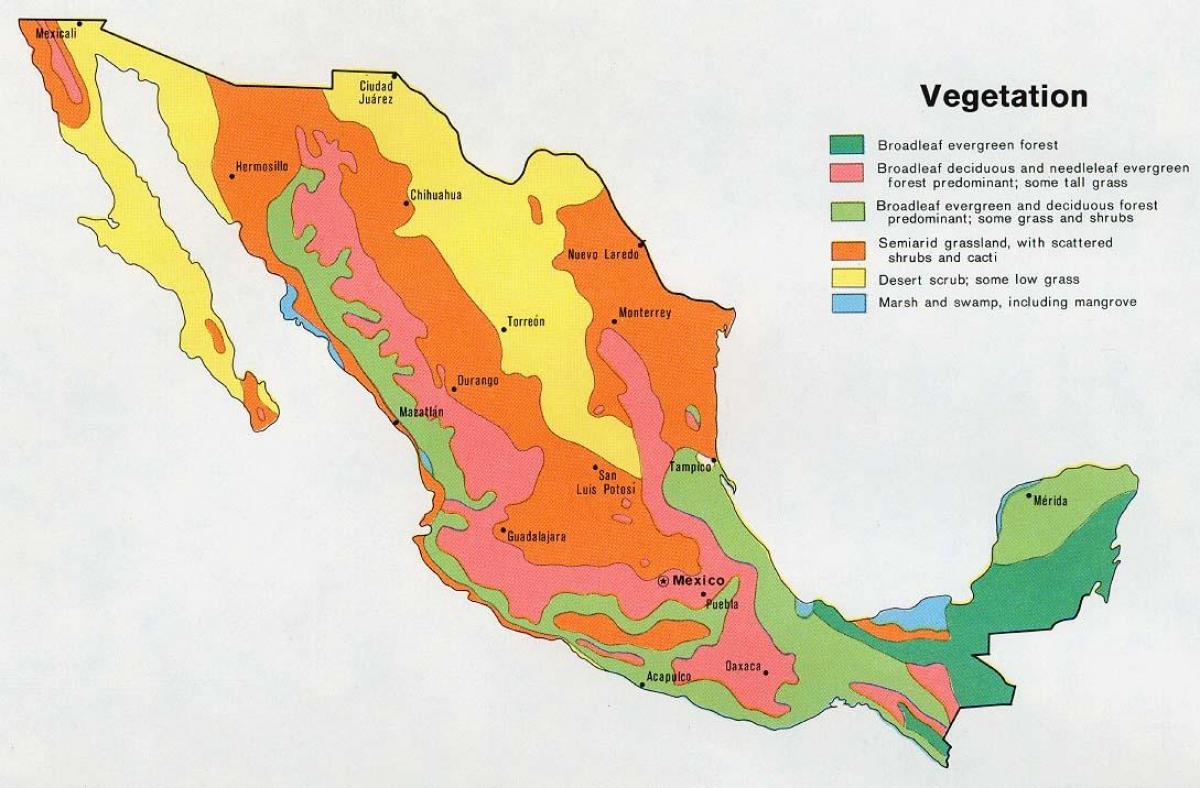 kort over Mexico fysiske ressourcer