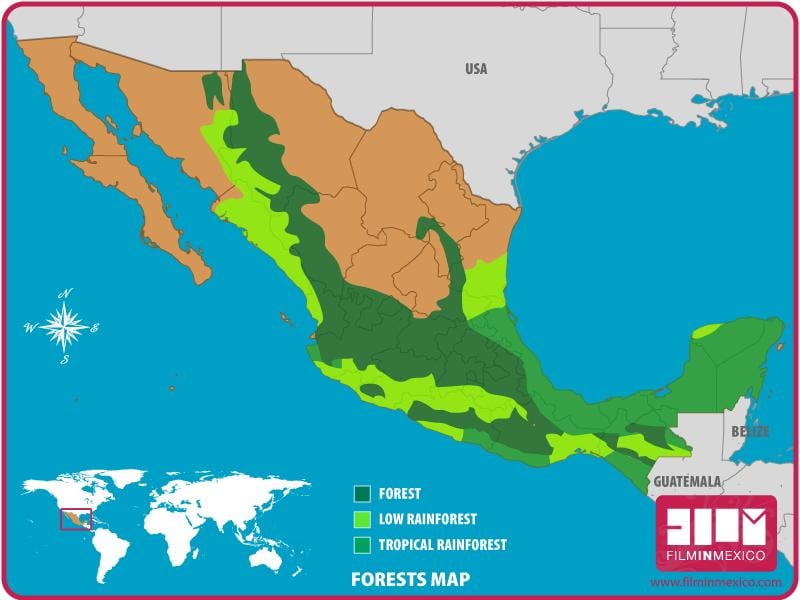 kort over Mexico skove