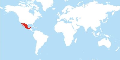 Kort over Mexico, global
