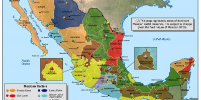Mexicansk kartel kort