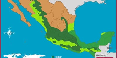 Kort over Mexico skove